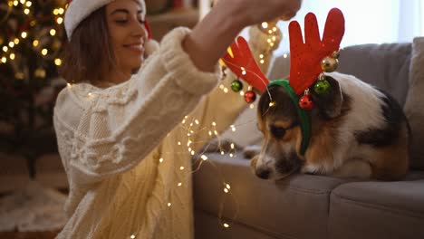 b-roll tender affectionate woman in santa hat puts on lights garland on funny welsh corgi dog in reindeer antlers headband, kisses him and stroking in festive decorated house with christmas tree