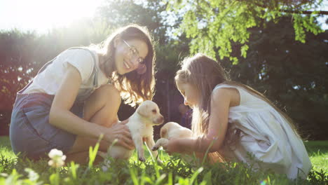 Young-Caucasian-woman-in-glasses-and-pretty-little-girl-playing-with-two-labrador-puppies-in-the-park-on-a-sunny-day