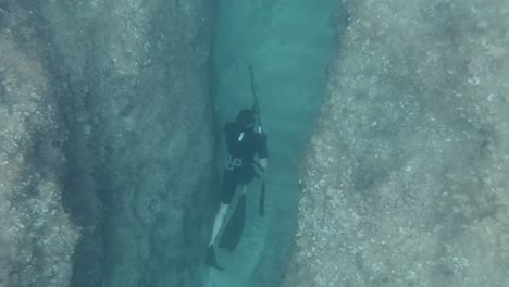 spearfisher dives into underwater crevasse in apnea at the mediterranean sea