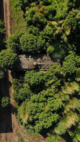 abandoned tank in a lush jungle