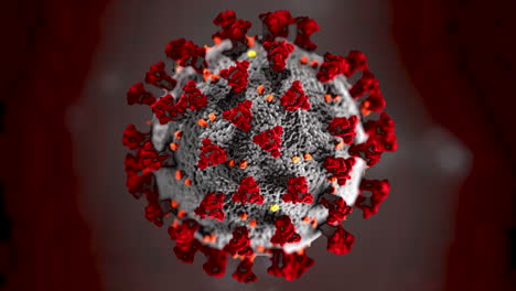 el coronavirus fue identificado como la causa de una enfermedad respiratoria detectada por primera vez en wuhan, china en 2019