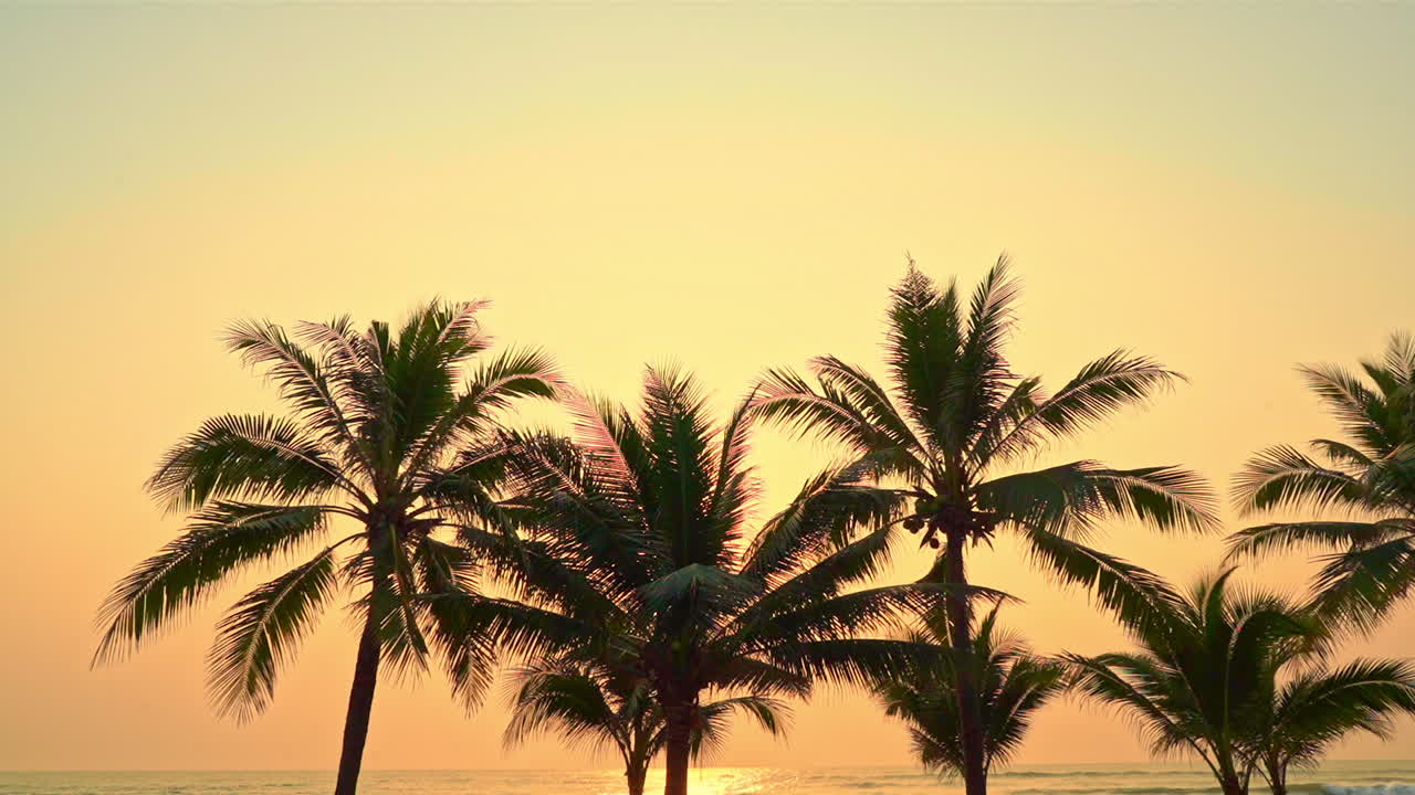 Stunning holiday sunset view on tropical palm trees, meditative scene