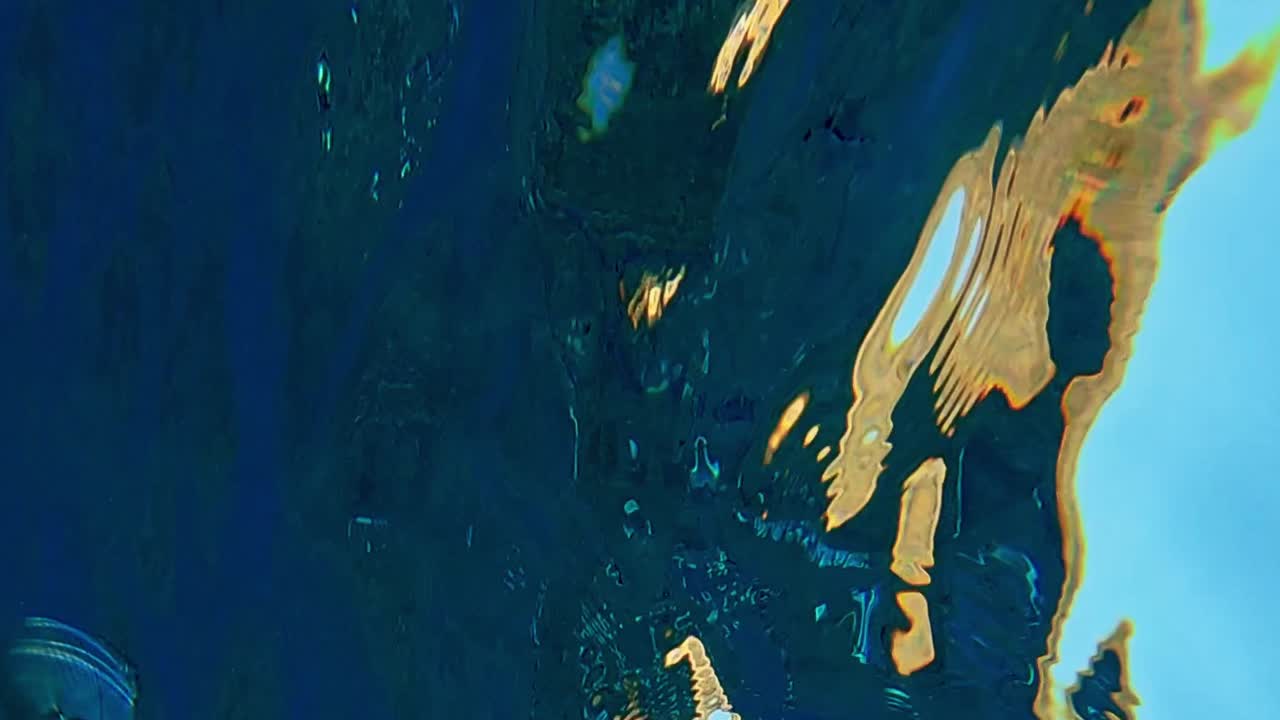Underwater view of school of blackspot picarel fish swimming and eating under surface of clear sea water