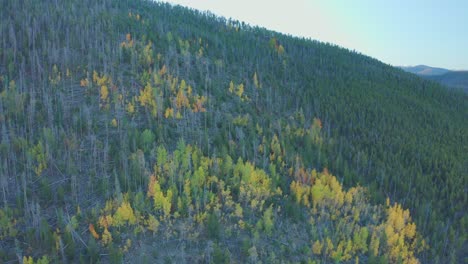 early morning aerial footage in shadow mountain lake in grand lake colorado with the fall colors just beginning