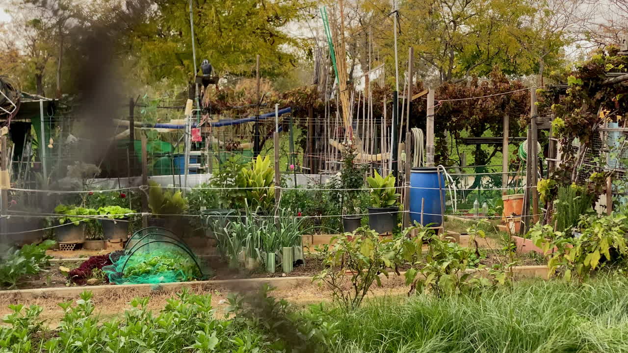De petites rangées de légumes poussent à côté de structures en bois improvisées, un jardin urbain paisible survivant entre outils, terre et ciel nuageux.