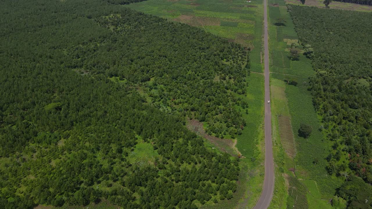 узкая дорога в сельском пейзаже между зелеными полями и рощами в кении - съемка с беспилотника