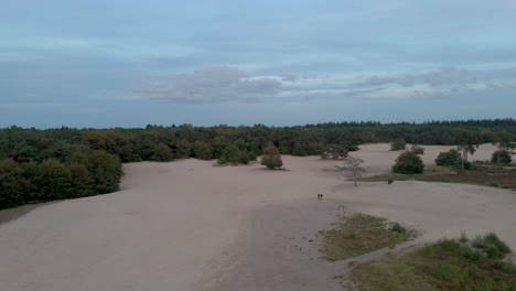 Aerial-dolly-of-sand-dunes-at-the-edge-of-forest-early-in-the-evening