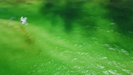 aerial view of a beautiful green ocean beach