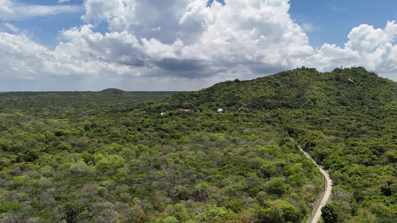 Aerial View Dolly of the Forest in Ho Tram in the Afternoon