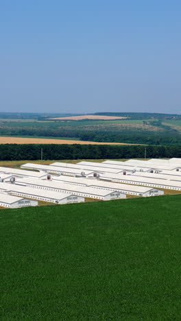 contemporary farm on green field. large territory of agribusiness with barnhouses on nature landscape. aerial view. vertical video