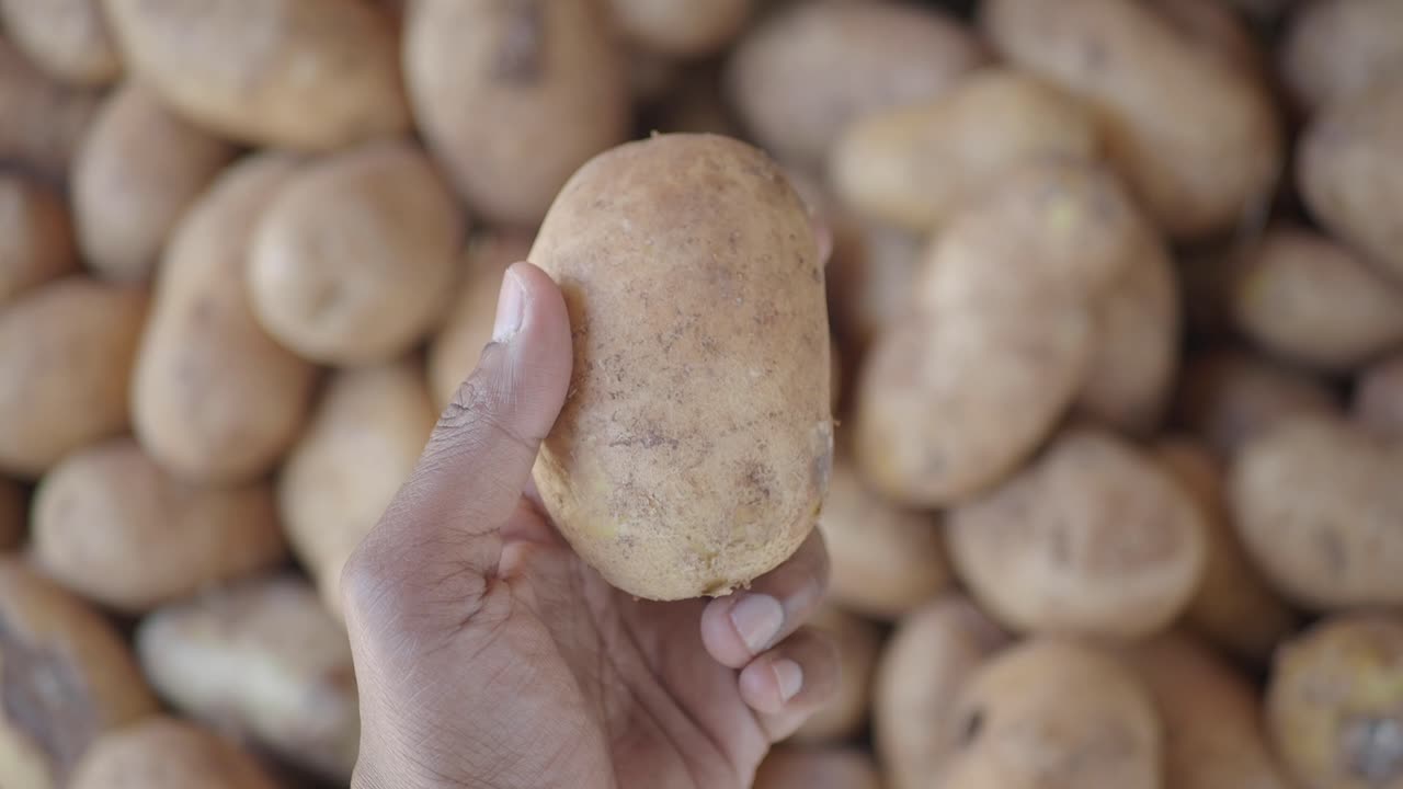 Potatoes in hand
