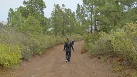dos mujeres con un bebé caminando en cámara lenta por un camino de tierra, camino al valle de guimar