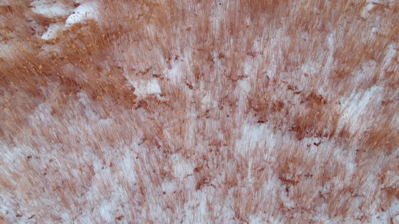 tiro inclinado hacia arriba desde un pantano nevado que revela un fabuloso paisaje forestal, alemania