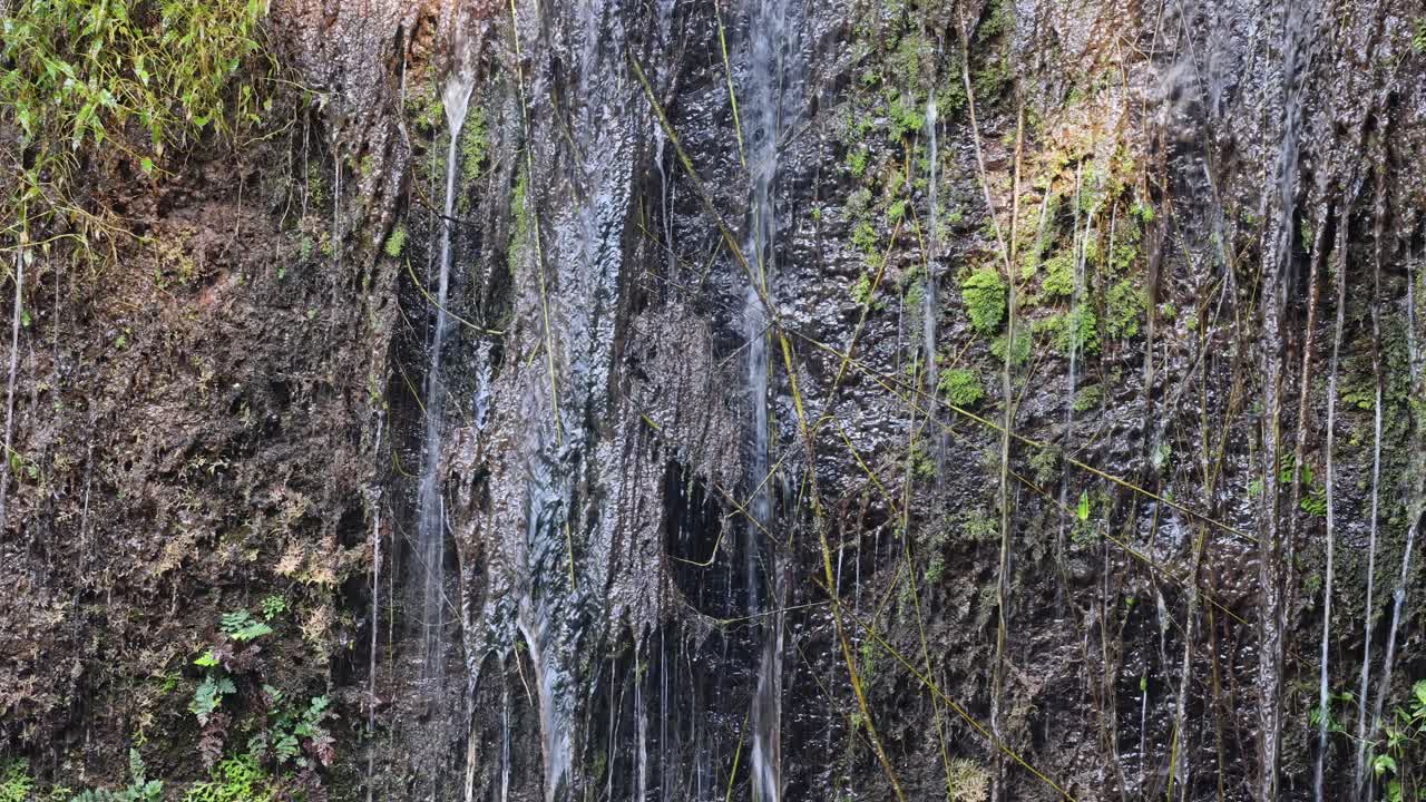 Cascading waterfall over mossy rocks and foliage