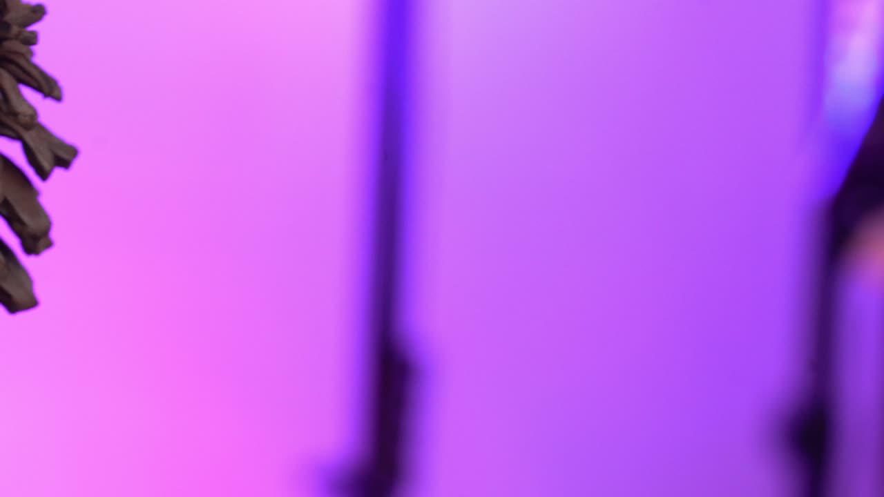 Cinematic pan right showing two natural pine cones with dramatic lighting and textured detail