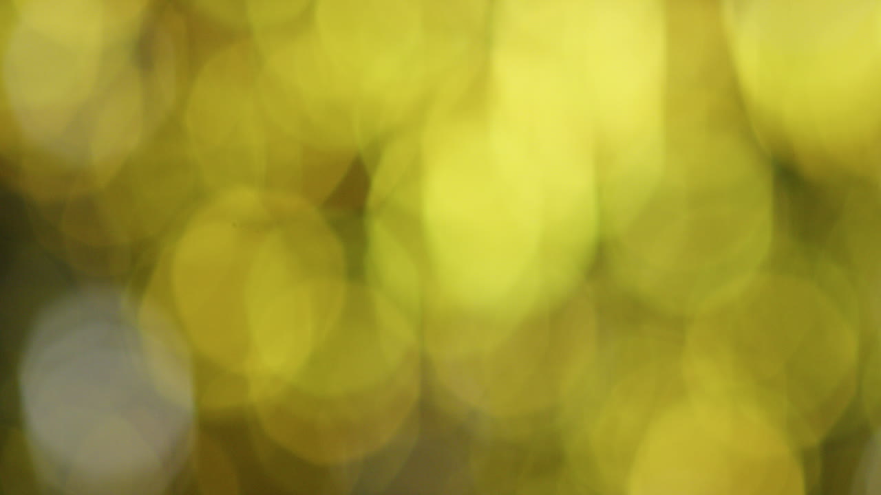 luces bokeh multicolores parpadeantes de glamour nocturno fondo del concepto