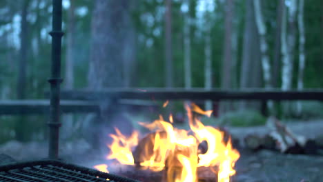 fogata en el bosque. leña ardiendo en la chimenea. llamas