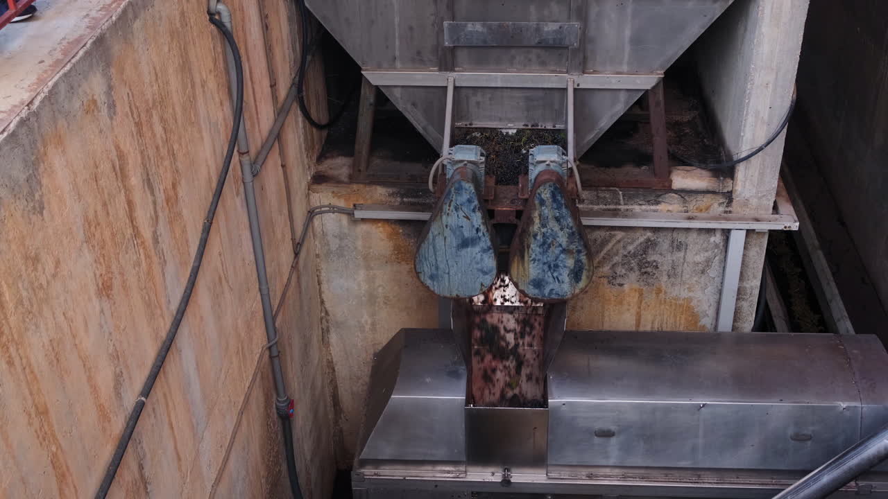 exprimir y separar la uva con la prensa