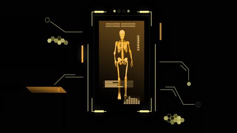 animation of human skeleton and scientific data processing over black background