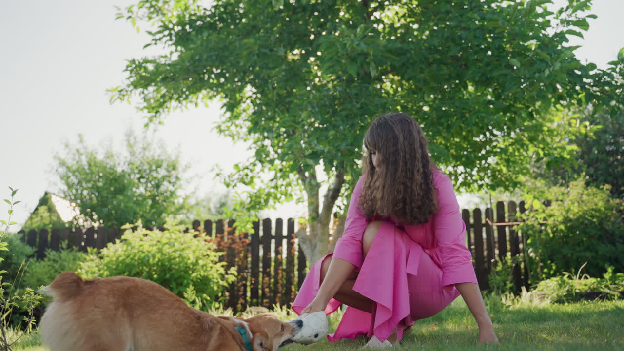 Woman Praises Dog Lovingly Outdoors, Pet Owner Shows Affection In Sunlight, Woman Gently Caresses Her Dog In Shaded Garden, Owner Kneels To Comfort And Praise Her Pet In Bright Backyard Light