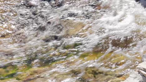 arroyo de montaña en plena inundación
