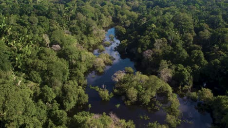 Boot-Auf-Dem-Amazonas