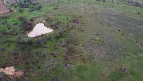 majestuoso paisaje rural verde con estanques de agua y pequeñas colinas en la distancia