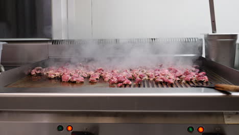 meat strips on professional grill being grilled