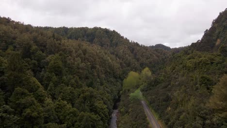 Densa-Jungla-De-Nueva-Zelanda-Con-Un-Río-En-El-Valle-Entre