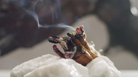 person holding palo santo wood stick in hand, aromatic palo santo burning on black background, smoke spreading around, slow motion video clip, high quality 4k close up footage. high quality 4k footage