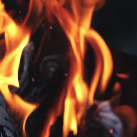 bright burning wood slow motion. splashes of flame and live coals.