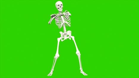 skeleton dancing. seamless loop animation on green screen.