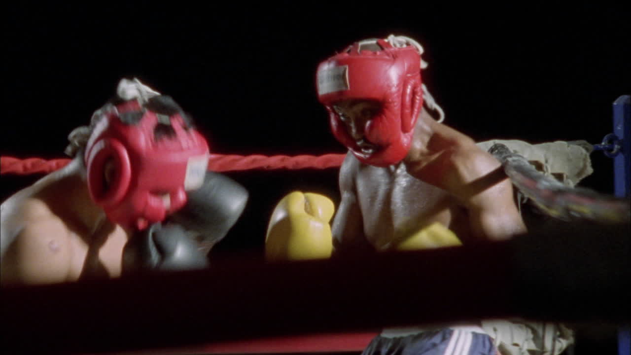 두 명의 권투 선수들이 권투 링에서 싸우고 있습니다.