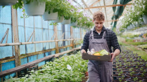 Agricultor-Sonriente-Que-Lleva-Varias-Verduras-Cosechadas