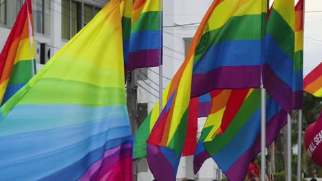 pride flags waving in the wind