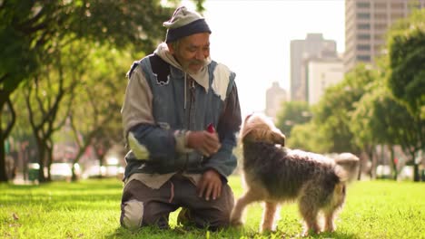 a heartwarming moment: an older man enjoys quality time in the park with his beloved dog, creating lasting memories in a serene outdoor setting.