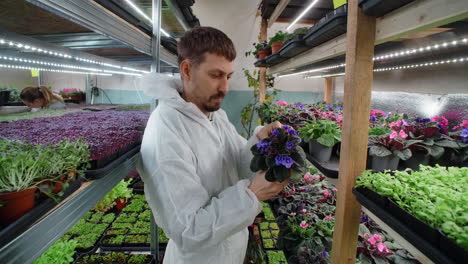 Indoor Plant Nursery with Worker