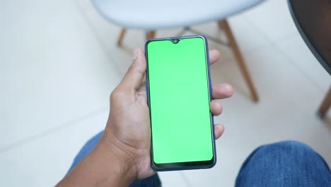 persona que sostiene un teléfono inteligente con una pantalla verde