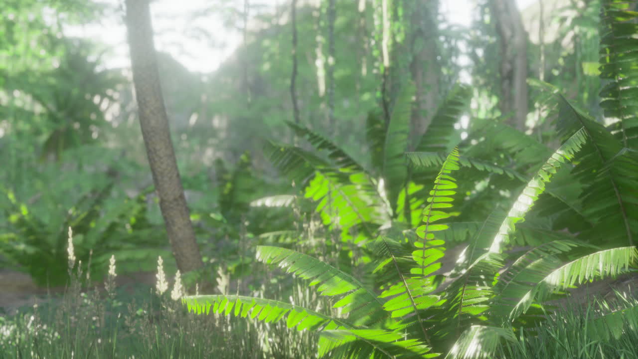 Lush green foliage flourishes under the warm sunlight in a tranquil forest