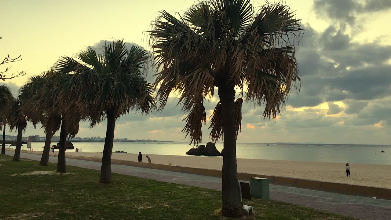 araha beach okinawa japón al atardecer con un patinador pasando, palmeras en primer plano