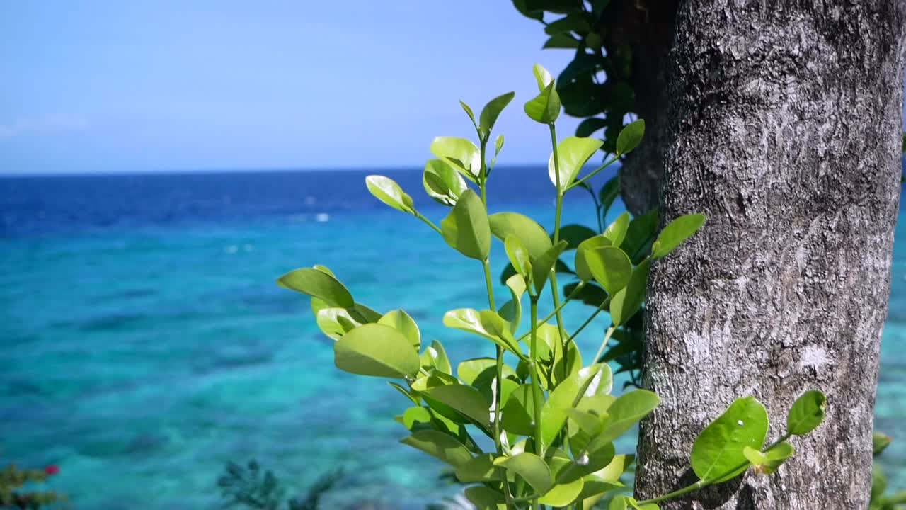 필리핀, 풍경, 보트 및 여행