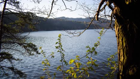 timelaps de un hermoso embalse en alemania-3