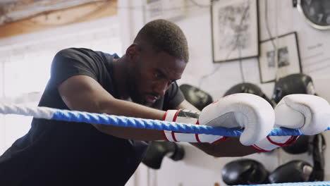 male boxer wearing boxing gloves training in gym resting on ropes in boxing ring