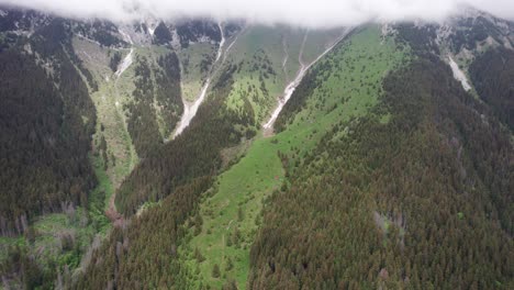 lush green mountain slopes with dense forest under overcast sky, aerial view