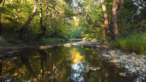 Niedriger-Drohnenflug-über-Kleinen-Fluss-Bei-Sonnenuntergang