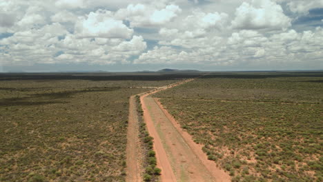aerial view of a dirt road in a savanna landscape
