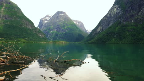 bosques de árboles sumergidos en el tranquilo lago de lovatnet en loen, stryn, noruega con montañas rocosas en el fondo