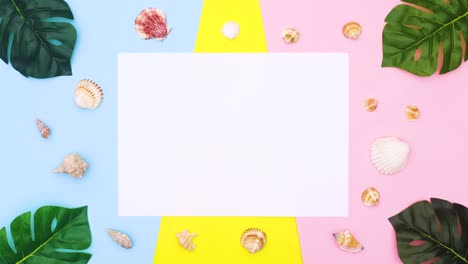 conchas marinas moviéndose alrededor de papel blanco para el texto. verano trópico stop motion animación