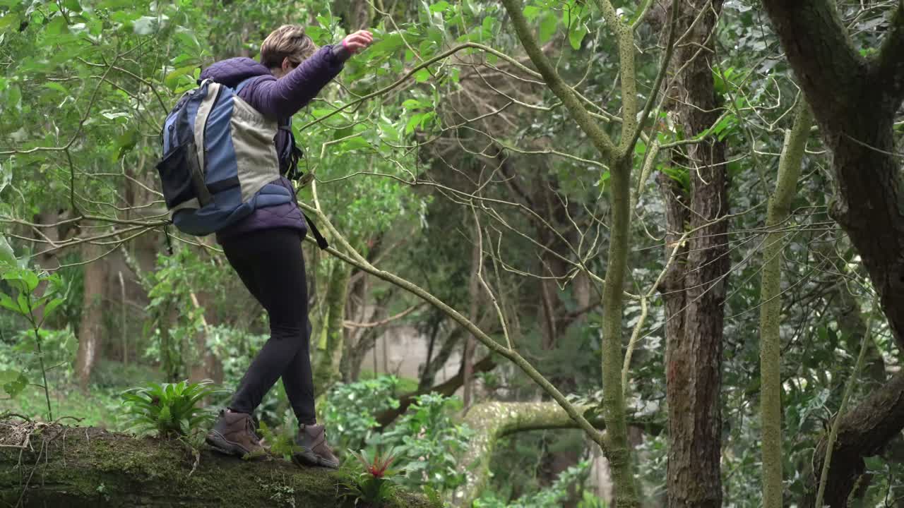 mujer caminando en el tronco de un árbol en el bosque