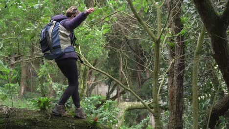 Woman walking in tree trunk in forest